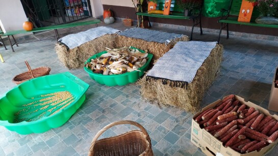 ACTIVITĂȚI EXTRACURRICULARE