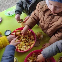 "Coșul toamnei" - Activitate outdoor
