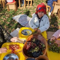 “Dărnicia toamnei” - Activitate outdoor