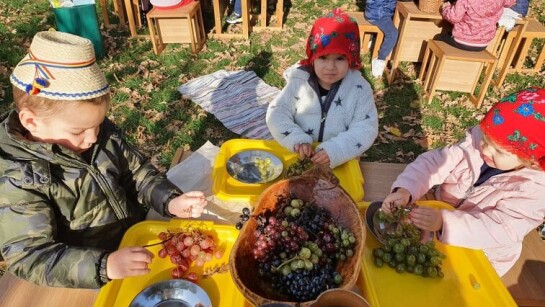 “Dărnicia toamnei” - Activitate outdoor